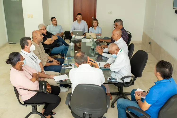 consultivo